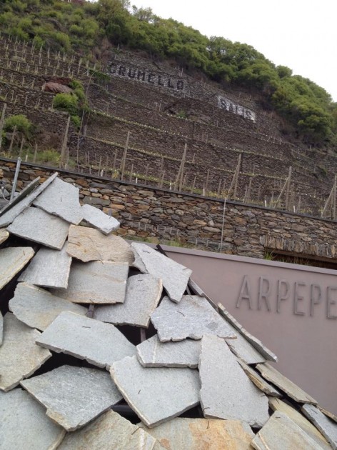 10298952_719000714858349_8277352782890294439_n