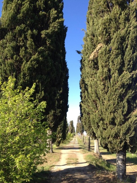 10365826_718985381526549_6803266786869054294_n